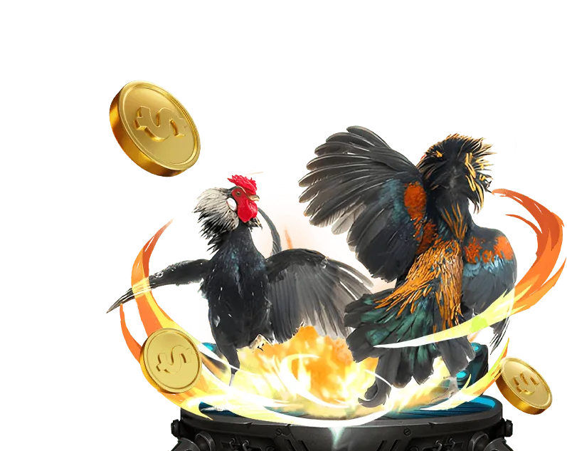 Quản lý tài khoản Betvisa88